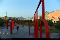 رویکرد منطقه هفت شهرداری شیراز، محله محوری و ارائه خدمات خوب به ساکنان محله هاست