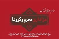 کتاب «عزاداری محرم و کرونا» رونمایی شد