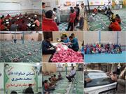 فعالیت تاثیرگذار مسجد سیدالشهدا (ع) اندیمشک جهت ارتقای سطح علمی دانش‌آموزان