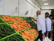 «هویج» بالانشین در قیمت