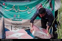گزارش تصویری/ توزیع هفتمین مرحله طرح قربانی در کانون‌های مساجد گیلان
