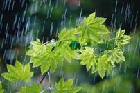 پیش بینی کاهش ۲۵ درصدی بارندگی پاییزه
