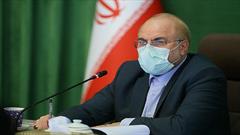 رئیس مجلس شورای اسلامی به عیادت امام جمعه نی ریز رفت