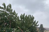 بارش اولین باران پاییزی در گلستان/ از دوشنبه شرایط جوی آرام می شود