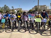 برای توسعه گردشگری دوچرخه در شیراز مسئولان و مدیران رکاب بزنند