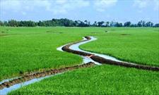 اجرای سیستم آبیاری نوین در لرستان و پرداخت تسهیلات بلاعوض به کشاورزان