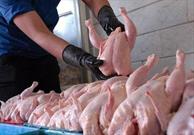 ابلاغ مصوبه مربوط به واردات گوشت مرغ با ارز ترجیحی توسط معاون اول رئیس جمهور