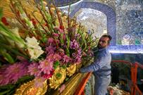 گل آرایی صحن مطهر علوی به مناسبت میلاد نبی اکرم(ص)+عکس
