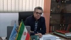 نمایشگاه دستاوردهای هنری هنرمندان به مناسبت روز مازندران در نکا برگزار شد