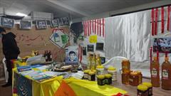 نمایشگاه «اقتصاد مقاومتی و مشاغل خانگی» در جهرم برپا شد