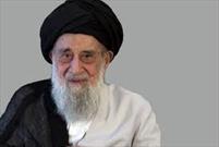 مهدوی‌زادگان درگذشت آیت‌الله رضی شیرازی را تسلیت گفت