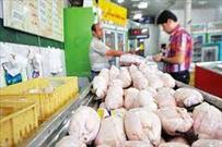 تولید روزانه ۲۰۰ تن گوشت مرغ در لرستان