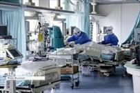 وضعیت ۹۵ بیمار کرونا در فارس وخیم است