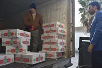 ۱۲۰۰ بسته گوشت قربانی در بین مردم توزیع شد