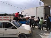 ١٢٠٠ بسته گوشت گوسفندی بین نیازمندان جنوب فارس توزیع شد
