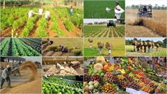 خرید ۱۹ هزار تن محصولات کشاورزی در لرستان