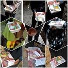 توزیع ۴۰ بسته گوشت متبرک قربانی بین نیازمندان جونقانی