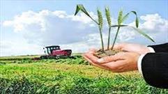 افزایش ۲۰ درصدی سطح اراضی زراعی تحت پوشش بیمه در استان