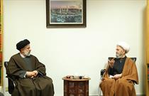 تاکید آیت الله سبحانی بر رسیدگی دولت به مشکلات فرهنگی 