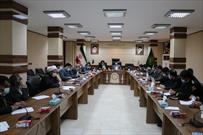 کمیته های ۲۶گانه ستاد دهه فجر انقلاب اسلامی ورامین معرفی شدند