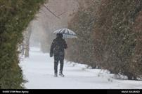 بارش برف در همدان