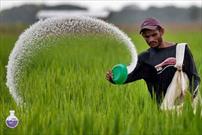 تأمین بیش از ۵۵ هزار تن کودهای شیمیایی مورد نیاز کشاورزان لرستانی