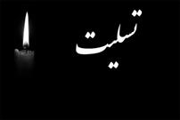 پیام تسلیت وزیر بهداشت درپی درگذشت «آیت الله العظمی صافی گلپایگانی»