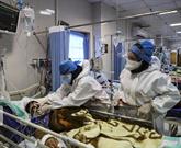 ۲۵۸ بیمار کرونایی در استان اردبیل بستری هستند