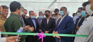 افتتاح مجتمع گلخانه ای در نیکشهر با تسهیلات صندوق کارآفرینی امید