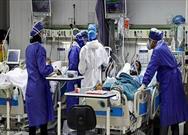 ۸۴ بیمار کرونا در بیمارستان های فارس بستری هستند