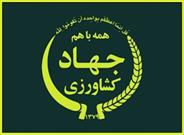 ایجاد صنایع جانبی در لرستان ضروری است