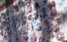 ۶۰ بسته نذر قربانی بین خانواده های عزتمند توسط کانون «شهدا قشقایی» نقنه