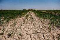 کاهش سطح آب های زیر زمینی در استان لرستان