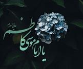 آمادگی شیراز برای برگزاری راهپیمایی شهادت امام موسی کاظم (ع)