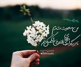 پیامبر (ص) برای ایجاد عدالت و دعوت به خیر و نیکی و دوری جستن از شر و زشتی ها مبعوث شد