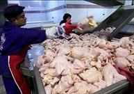 تداوم توزیع گوشت و مرغ تنظیم بازار در فارس تا پایان ماه مبارک رمضان