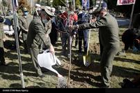 غرس ۴۸ هزار نهال به نام شهدای ارتش در تهران و البرز