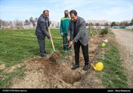 شهرداری بجنورد ۱۰ هزار اصله نهال توزیع کرد