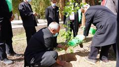 گزارش تصویری/کاشت نهال در بوستان میقات الرضا طبس