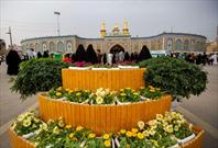 طراحی های هنری زیبا با گل و گیاهان زینتی در صحن مطهر و ورودی های آستان مقدس عباسی