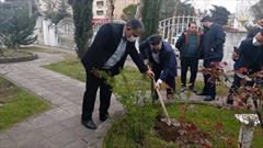 فارس در مسیر سبز شدن؛ راه و شهرسازی و منابع طبیعی دست به دست هم دادند