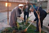 کاشت ۲۵ نهال به همت کانون امام زمان روستای آهق مراغه