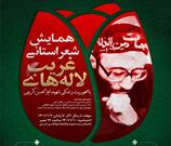 همایش شعر استانی شهدای ترور با محوریت شهید «ابوالحسن کریمی» برگزار می‌شود