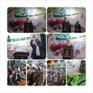 برگزاری آئین تحویل سال نو با حضور جمع کثیری از زائران در امامزاده بی بی حکیمه (س)