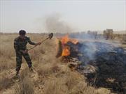 گردشگران، مقصر آتش سوزی منطقه گردشگری «چاه عروس» نبودند/تلاش گردشگران و فعالان محلی در مهار آتش