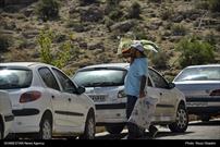 گزارش تصویری| روز طبیعت در پارک کوهستانی دراک شیراز