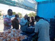 ۷۸ تن میوه نوروزی طرح تنظیم بازار در آبادان توزیع شد