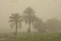 آمادگی هلال احمر خوزستان در ارائه خدمات پیش بیمارستانی ناشی از گرد و غبار