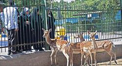 باغ ‌وحش وکیل آباد مشهد به تعهدات زیست ‌محیطی خود عمل نکرده است
