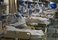 ۸۷ بیمار مبتلا به کرونا در فارس وضعیت وخیمی دارند